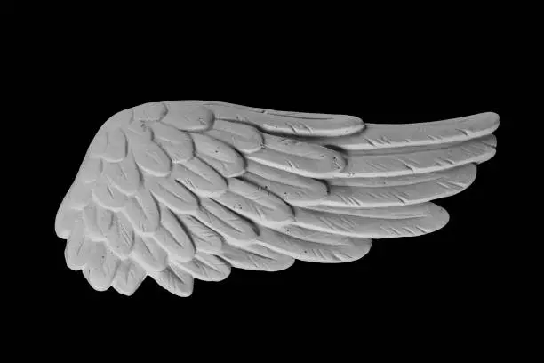 Photo of white plaster wing on a black background