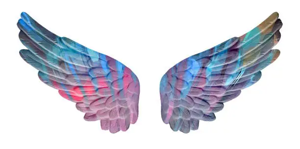 Photo of colored plaster wings isolated on white background