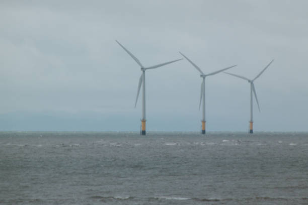 istock Turbines at sea 873252958