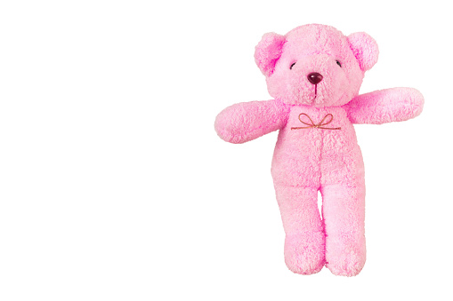 pink teddy bear,isolated on white background with clipping path.