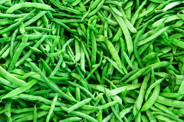 tas de haricots verts - green bean photos et images de collection