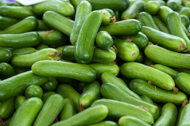 istock cucumber on farmer's market 873261354
