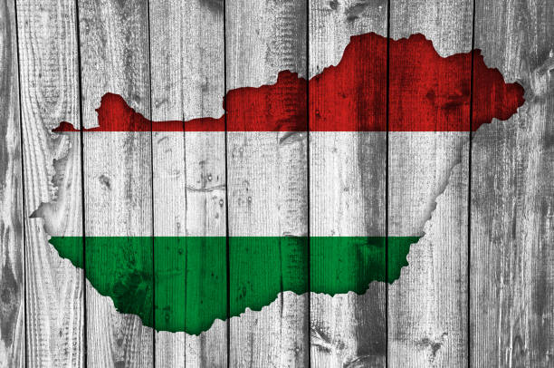 istock Textured map of Hungary in nice colors 873264334