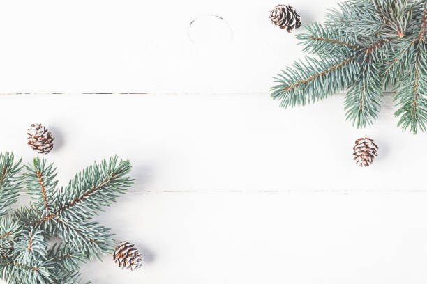 istock Christmas fir branches on white background. Flat lay, top view 873267046
