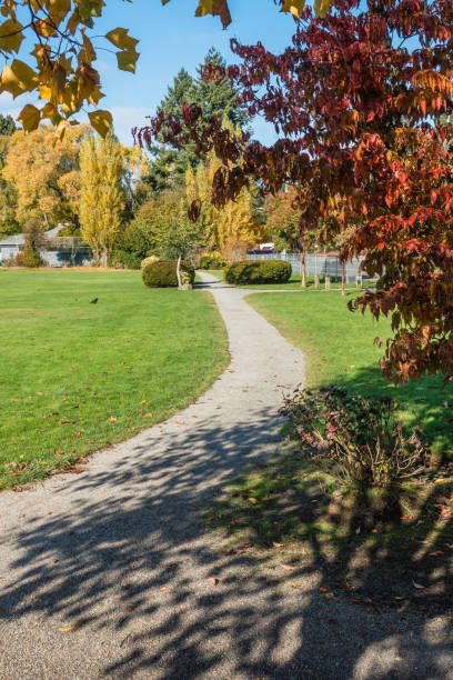 istock City Park In Autumn 6 873270138