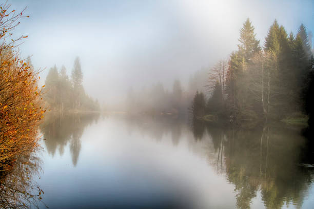 istock Foggy morning at forest pond 873275242