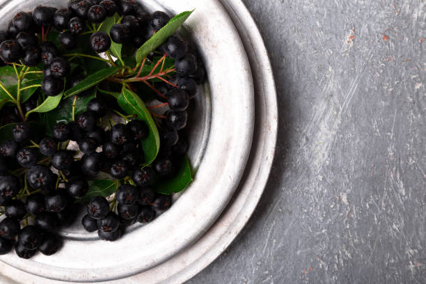 aronia in silberne metallschale auf grauem hintergrund. aronia beere mit blatt. ansicht von oben. kopieren sie raum. - berry fruit fruit ash autumn stock-fotos und bilder