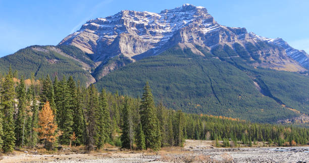 istock Rocky Mountain peak with trees in foreground 873281896