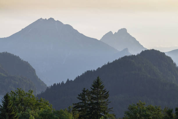 istock Alpine landscape in the evening 873282762