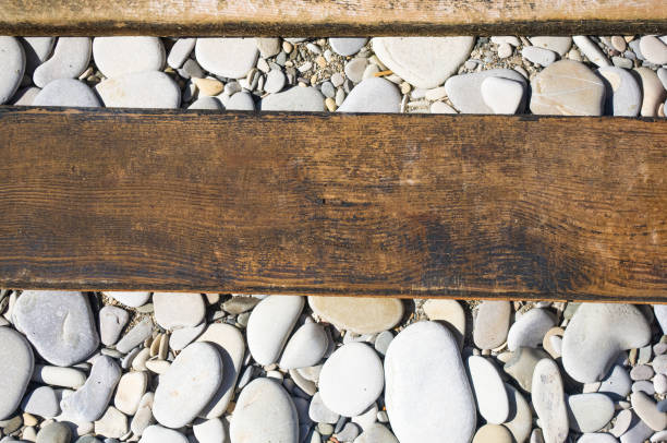 driftwood, washed up by the sea on a pebble beach on a warm summer day
