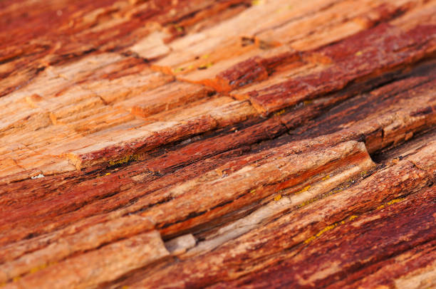 istock Petrified-Forest-National-Park, Arizona, USA 873309250