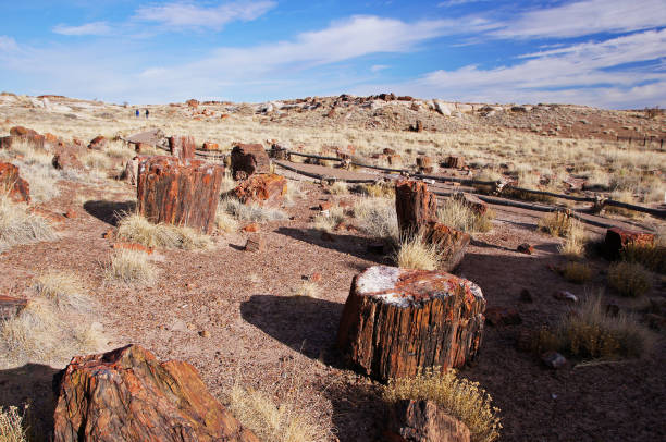 istock Petrified-Forest-National-Park, Arizona, USA 873309440
