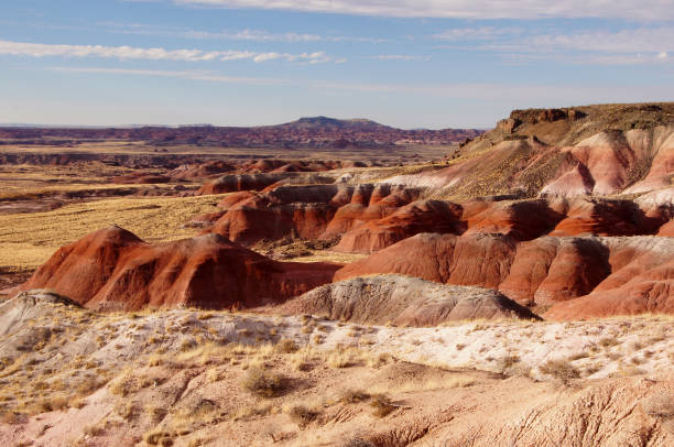 istock Petrified-Forest-National-Park, Arizona, USA 873309532