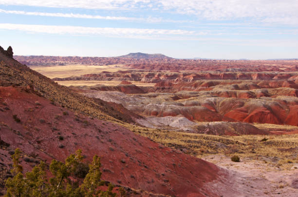istock Petrified-Forest-National-Park, Arizona, USA 873310020