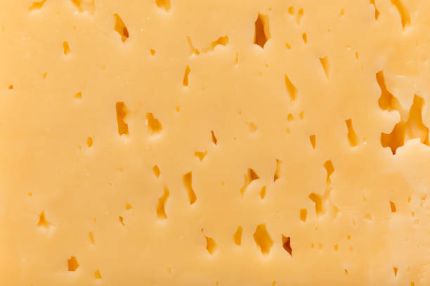 istock background of fresh cheese. macro 873311104