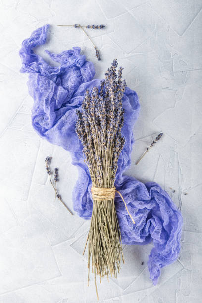 istock Dried lavender flowers on white background 873313026