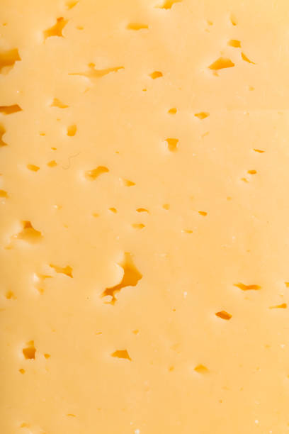 istock background of fresh cheese. macro 873313846