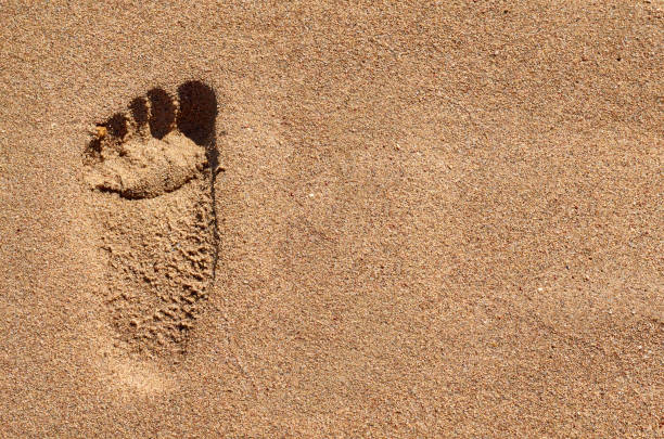 istock Footprint in the Sand. Sea beach, vacation idea 873313876