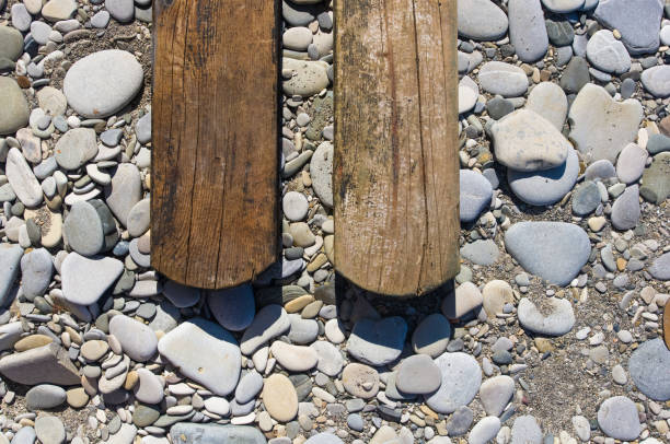 driftwood, washed up by the sea on a pebble beach on a warm summer day