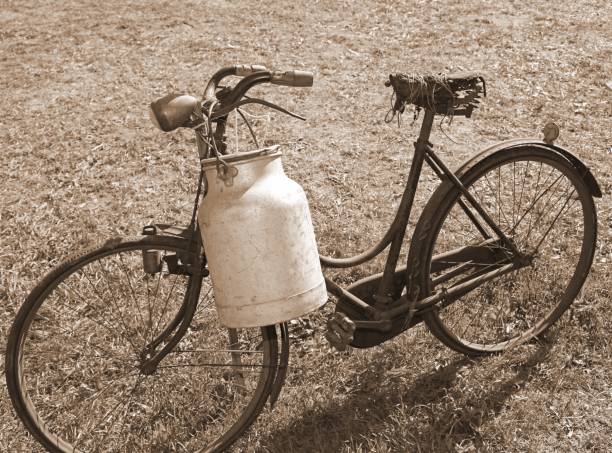 ancient milking bicycle with milk can and ancient sepia effect