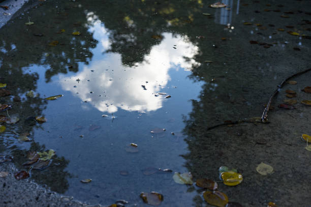 puddle water reflection of a cloud and tree in autumn fall season end of summer