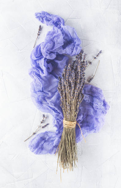 istock Dried lavender flowers on white background 873315812