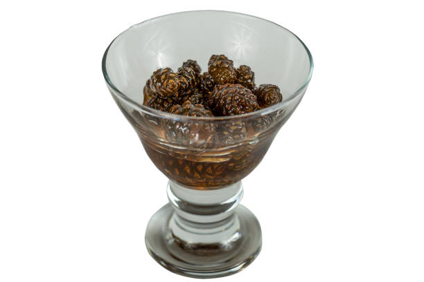 istock glass ramekin of jam made from pine cones on a white background 873323870