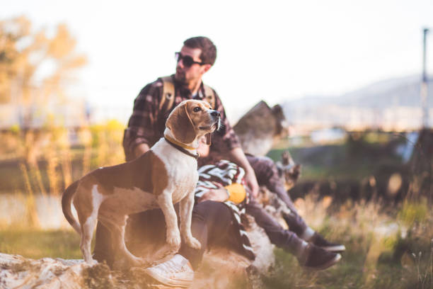 istock Charming Young Man And Cute Beagle Dog 873332962