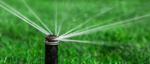 istock automatic sprinkler system watering the lawn on a background of green grass 873333838