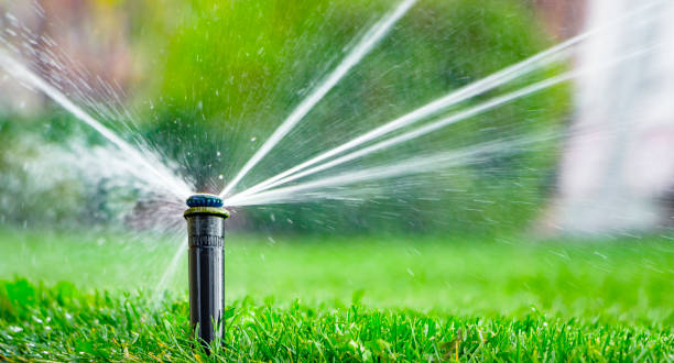 istock automatic sprinkler system watering the lawn on a background of green grass 873333994