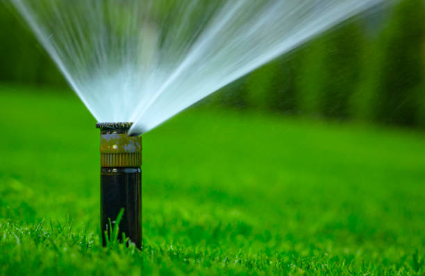 istock automatic sprinkler system watering the lawn on a background of green grass 873334078