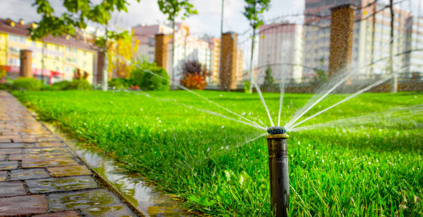 istock automatic sprinkler system watering the lawn on a background of green grass 873334136