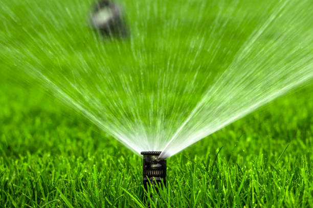 istock automatic sprinkler system watering the lawn on a background of green grass 873334156