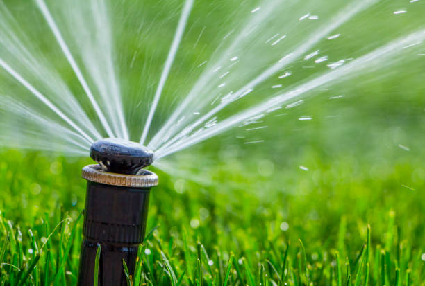 istock automatic sprinkler system watering the lawn on a background of green grass 873334232
