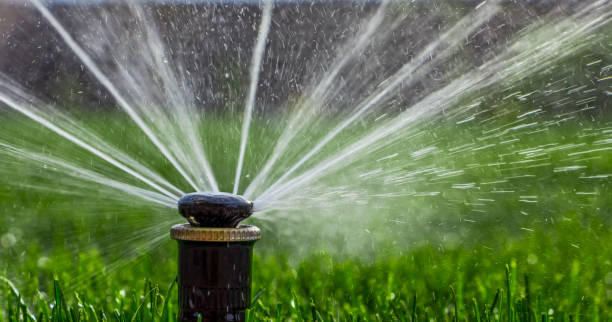 istock automatic sprinkler system watering the lawn on a background of green grass 873334406
