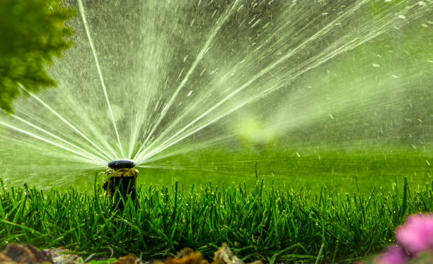 istock automatic sprinkler system watering the lawn on a background of green grass 873334524