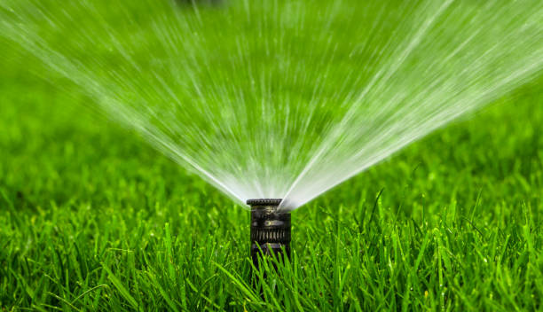 istock automatic sprinkler system watering the lawn on a background of green grass 873334836