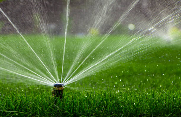 istock automatic sprinkler system watering the lawn on a background of green grass 873334988
