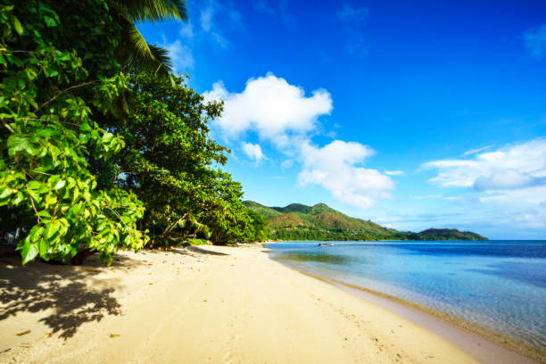 istock golden paradise beach at anse possession, praslin, seychelles 1 873335120