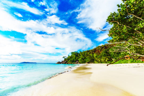istock sunny day on paradise beach anse georgette,praslin seychelles 26 873335130
