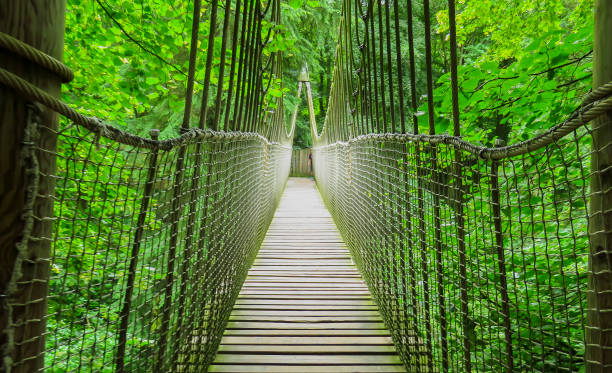 Alnwick wooden Treehouse, wooden and rope bridge, Alnwick Garden,  in the English county of Northumberland, UK stock photo