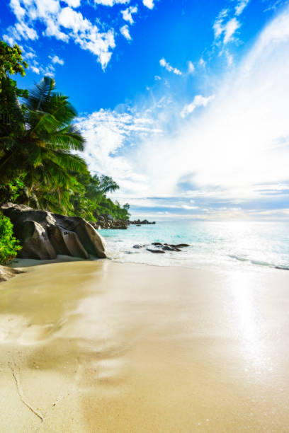 istock sunny day on paradise beach anse georgette,praslin seychelles 8 873336186