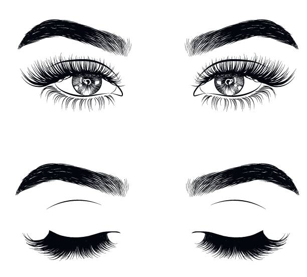 ręcznie rysowane kobiece seksowne luksusowe oko z idealnie ukształtowanych brwi i pełnymi rzęsami. - human eye eyebrow eyelash beauty stock illustrations