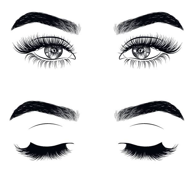 Hand-drawn woman's sexy luxurious eye with perfectly shaped eyebrows and full lashes. Idea for business visit card, typography vector.Perfect salon look. eyebrow stock illustrations