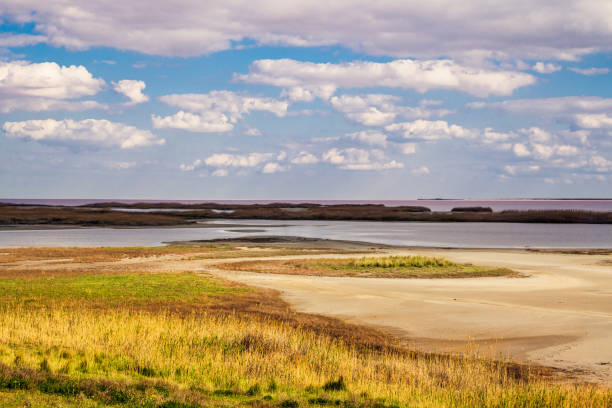 istock Beautiful pink lake 873336434