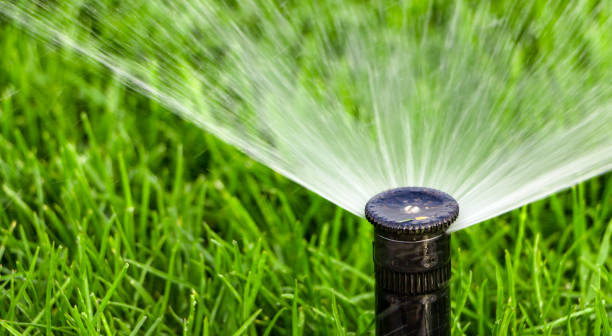 istock automatic sprinkler system watering the lawn on a background of green grass 873336946