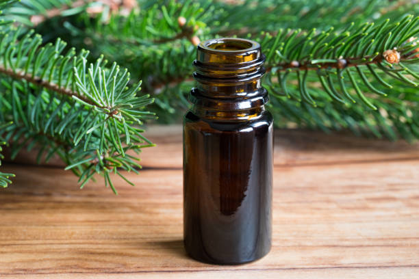 istock A bottle of spruce essential oil with spruce branches 873337528