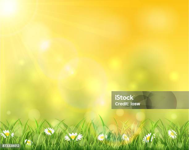 Nature And Sun Over Grass Stock Illustration - Download Image Now - Backgrounds, Springtime, Summer