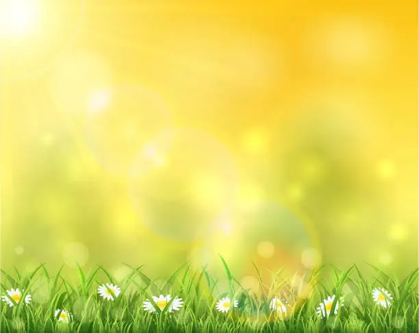 Vector illustration of Nature and sun over grass