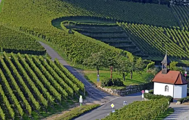 view across the vineyards of Baden Germany, towards a small chapel near Durbach, Ortenau region of Germany
